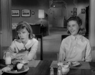 The Patty Duke Show